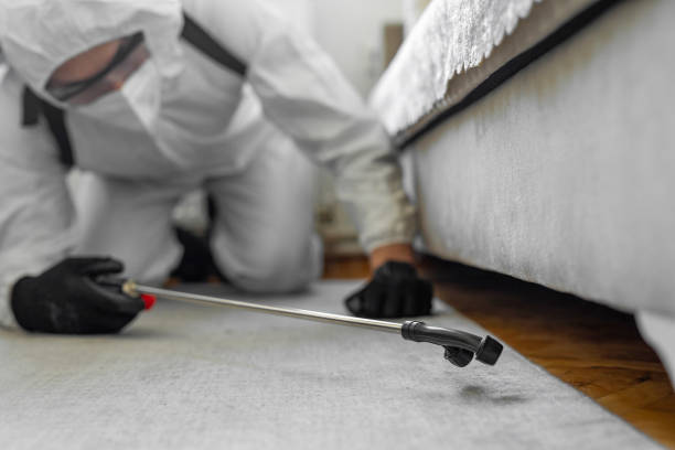 Professional Termite Control technician working in Keshena, WI