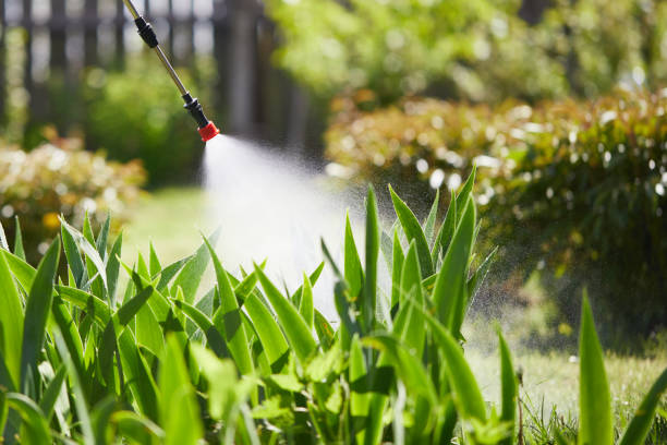 24/7 Emergency Termite Control experts in Keshena, WI