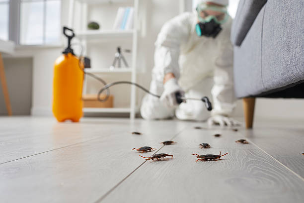 Affordable Termite Control solutions in Keshena, WI