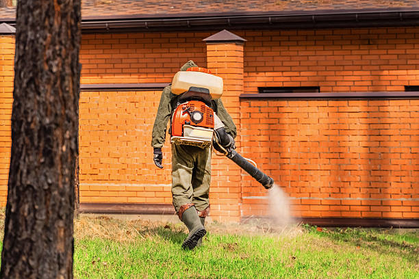 Top rated local Termite Control specialists in Keshena, WI